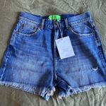 Free People Sandrine Rose the Virgin Label | distressed denim high-rise shorts Photo 0