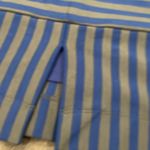 Tracy Reese ANTHROPOLOGIE Plenty by  blue gray stripe skirt size 12 Photo 3