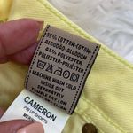 DL1961  Cameron Pin Up Shorts Merengue Photo 97