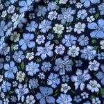 H&M  lace floral mini dress Photo 1