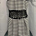 Papaya black and white striped dress Photo 3
