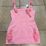 JW Pei  Elaina Pink Rosette Applique Mini Dress Size 10 Photo 2