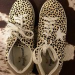 Pierre Dumas Sneakers Photo 1