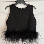 FATE. Black Top Ostrich Feather Trim Photo 0