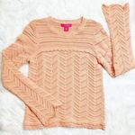 Catherine Malandrino NEW Petal Peach Chevron Knit Ruffle Hem Casual Sweater L Photo 2