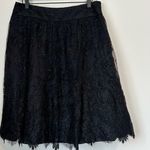 Carmen Marc Valvo  Midnight Lace Tulle A-Line Skirt - Size: 12 Photo 0