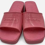 Coach  Women's Scarlett Pink Block Heel Mules Sz 9 Photo 1