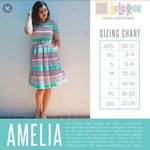LuLaRoe Amelia Gray Floral Dress Photo 5