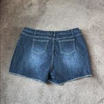 Cato  Denim Shorts SIZE 22W Photo 4