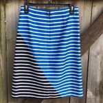 J.Crew NWOT  skirt Photo 4