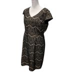 Liz Claiborne  Formal Dress Sz 14‎ Black Lace W/ Nude Short Sleeve Knee Length Photo 1
