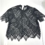 Forever 21 Black Sheer Lace Top Medium Gothic Romantic Scalloped Hem Night-Out Layering Photo 1