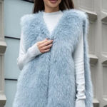 Jason Wu  Elegant  Blue Tan Faux Fur Vest Size Medium NWT Photo 0