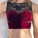 Staring At Stars Maroon Crop Top Photo 0