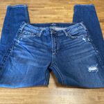 Silver Jeans  Mazy Skinny 31/29 Photo 0