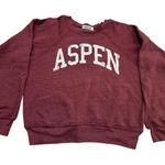 Daydreamer Aspen Raglan Sweatshirt Size Small New without Tag MSRP $128 SOO Photo 0