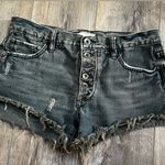 Free People  shorts Photo 0