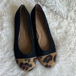 Aerosoles  Bechincolor Black Suede Ballet Flat Leopard Calf Hair Toe Size 7.5 ♣️ Photo 1