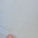 Tory Burch White Ruffle Sleeve Blouse Photo 2