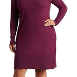 Cyrus Devotion by  Cowl Neck Long Sleeve Sweater Dress Photo 0