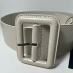 Saint Laurent  YSL Snakeskin Python Vintage White Covered Buckle Corset Belt Photo 3