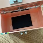 Edie parker pink strawberry acrylic trunk Photo 4