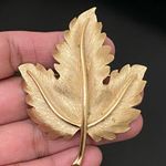 Trifari Vintage Signed Brushed Gold Tone Maple Leaf Brooch 24g. Photo 5