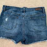 Articles of Society Denim Shorts Photo 1