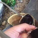 Miu Miu Sunglasses Photo 2