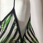 Jealous Tomato  Photo 5