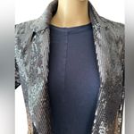 Rachel Zoe NWT Rixey Sequined One-Button Blazer Blue Small Photo 4