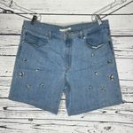Levi's Levi’s Size 33/16 Blue Denim - Floral Embroidered Classic Jean Shorts Photo 0