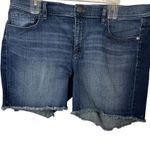 Loft Ann Taylor  Dark Blue Denim Shorts 16 Photo 0