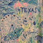 Lilly Pulitzer  texas Kristen Dress size small resortwear vacation Photo 4