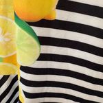 Elle  Black And White Stripe‎ Lemon Print Dress Size 8 Photo 6