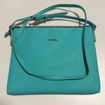 Marc Tetro Blue Boston Terrier crossbody bag Photo 3