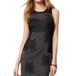 Anthropologie ANTHRO MAEVE BLACK SLEEVELESS BODYCON FLOCKED COLUMN BLACK GREY LACE DRESS MP Photo 1