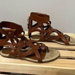 Dolce & Gabbana  BROWN TAN LEATHER GLADIATOR STRAPPY FLATS SANDALS zip size 38.5 Photo 1