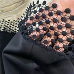 Donna Ricco fit & flare black dress w/polka dot lace hem square neckline Size 12 Photo 8