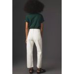 AGOLDE 90's Crop Mid Rise Straight in Wash Fortune Cookie Size US 28 Photo 13