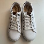 Taos Star Burst Canvas Lace Photo 1