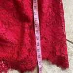 Gal Meets Glam Collection Lucia Lace Dress Photo 13