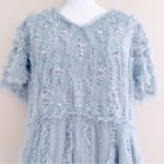 Ivy City Co Lilac/Gray Floral Beaded Ruffled Swiss Dot Maxi Tulle Dress. Purple Size 1X Photo 1