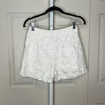 Joie  Leslie on porcelain Embroidered cotton linen Shorts in Size 2 Photo 5