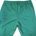 Torrid NWT  LoveSick Classic Fit High Rise Lurex Stripe Joggers Green Size 3X Photo 10