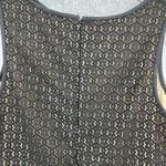 Max Studio  Black Nude Fit & Flare Dress Size 4 Lace Sleeveless Photo 4