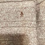 Original Penguin  by Munsing wear sweater Vintage small purple 100% cotton Photo 3