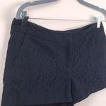 Cynthia Rowley | Navy Blue Floral Lace Shorts sz 6 Photo 0