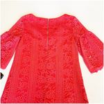 Gabby Skye  Lace Overlay Cocktail Dress Photo 8