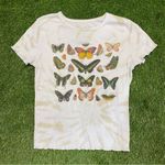 Fifth Sun Super Cute Butterfly Top Photo 1